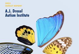 Image of butterfly wings